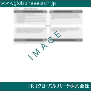 グローバルリサーチ調査資料のイメージ